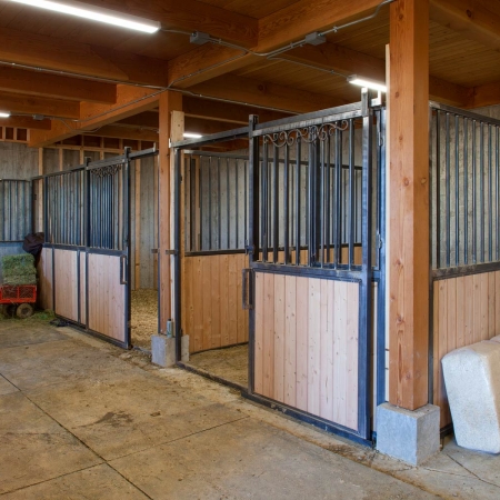 Robin's Ranch - Colorado Timberframe